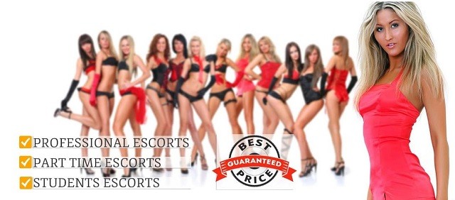 escorts and sex guide vienna