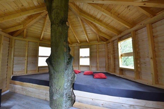 fkk world review of sauna club treehouse