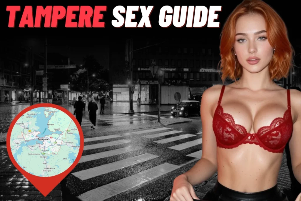 Tampere Sex Guide cover art